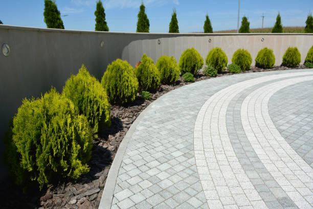 Driveway Repair Near Me in Lake Charles, LA